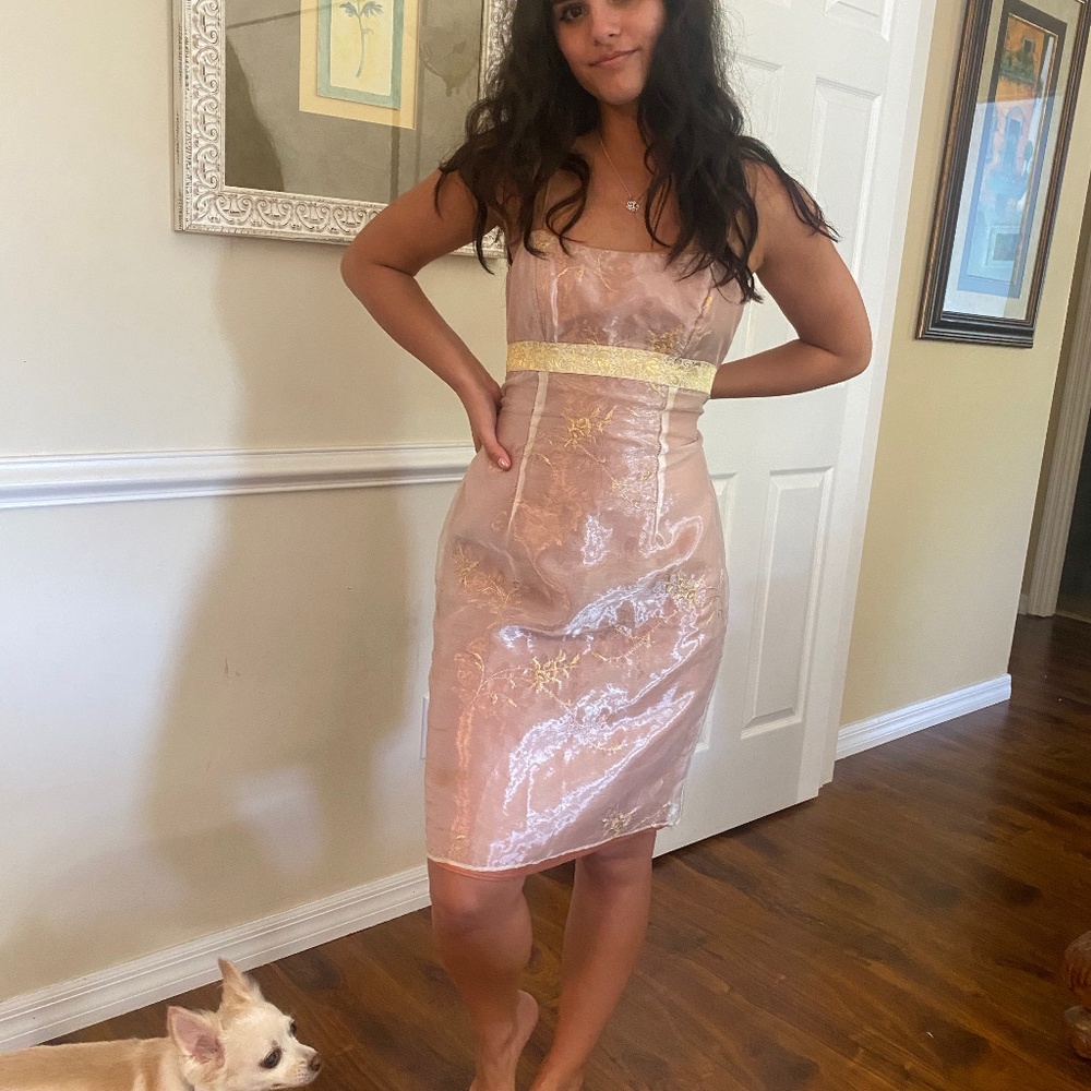 Size 6 Sheer organza dress